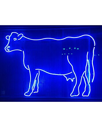 Cow Neon Sign