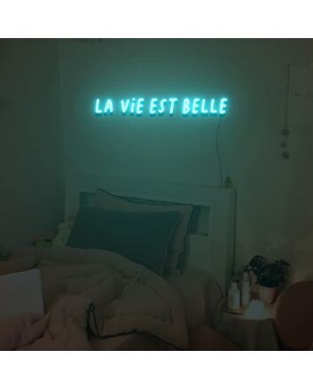 La Vie Est Belle Neon Sign Custom Neon Sign Lights Night Lamp Led Neon Sign Light For Home Party