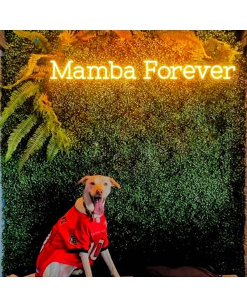 Mamba Forever Neon Sign