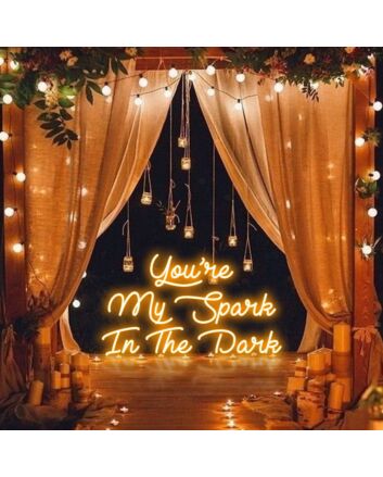 You Are My Spark in The Dark Neon Sign