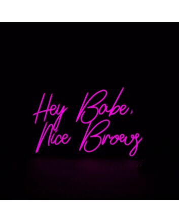 Hey Babe Nice Brows Neon Sign