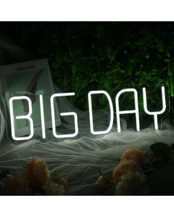 BIG DAY White Neon Sign