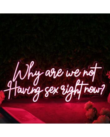 Why Are We Not Having Sex Right Now Red Neon Sign