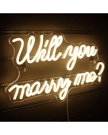 Will You Be My Girlfriend Neon Sign
