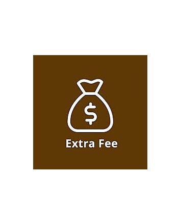 Additional size price