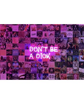&#39;Don&#39;t be a dick&#39; neon sign