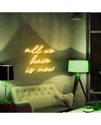 All we have is now Seize the Day with Motivational Neon