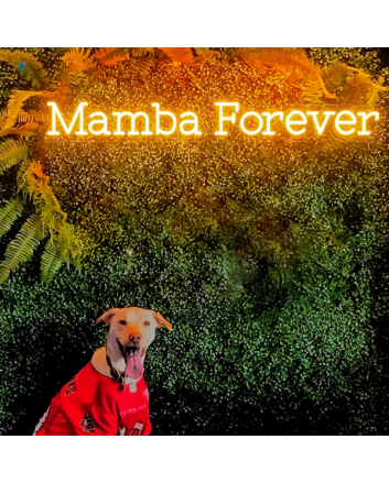 Mamba Forever Neon Sign