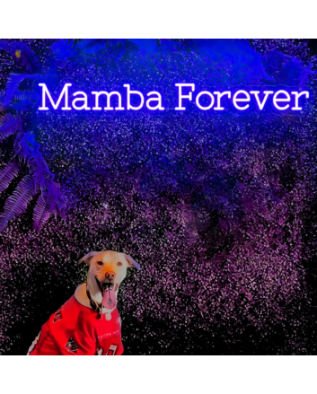 Mamba Forever Neon Sign