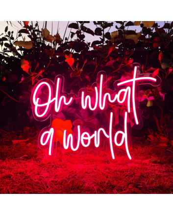 Oh What a World: Let Your Space Shine with Wonder!