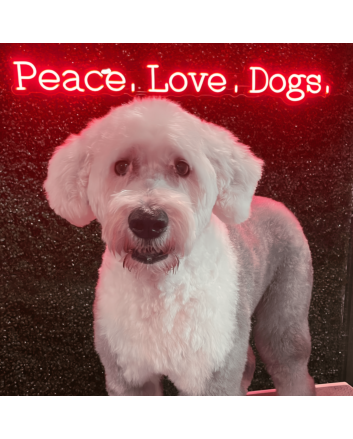 Peace Love Dogs: Illuminate Your Passion for Canine Companions with Our Neon Sign!