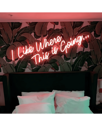 I Like Where This is Going Illuminated Neon Sign