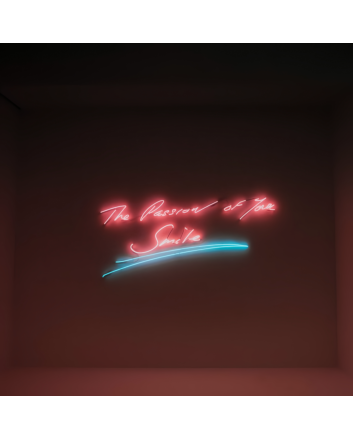 The Passion of Your Smile Neon Sign: Brighten Your Space with the Radiance of Your Happiness