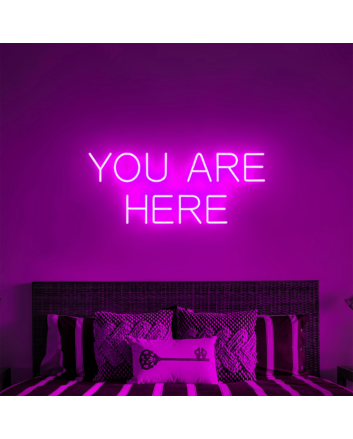 Your Sexiest Body Part is Your Mind: Illuminate Your Space with Neon Intelligence