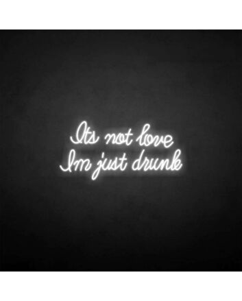 &#39;I&#039;m drunk&#39; neon sign