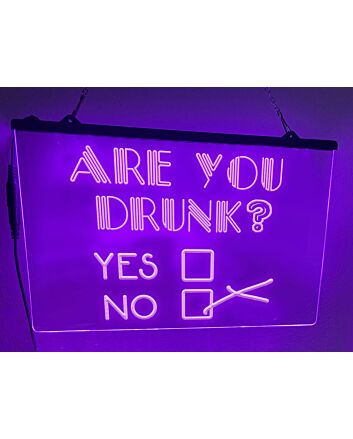 Are You Drunk Bar Hanging Neon Sign