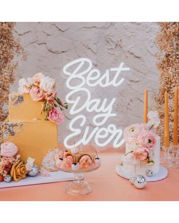 Best Day Ever Neon Sign for Celebratory and Positive Decor