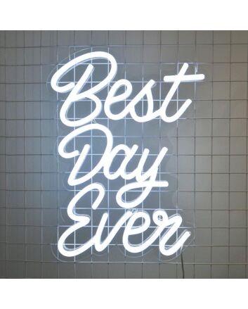 Best Day Ever Neon Sign for Celebratory and Positive Decor