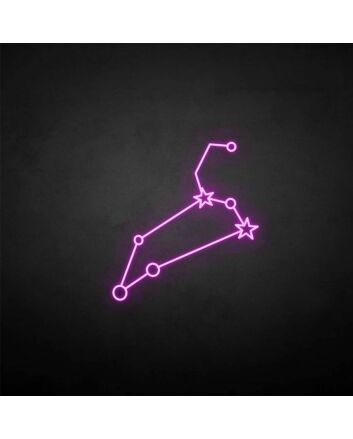 &#39;Leo&#39; neon sign