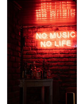 No Music No Life Neon Sign Perfect for music lovers