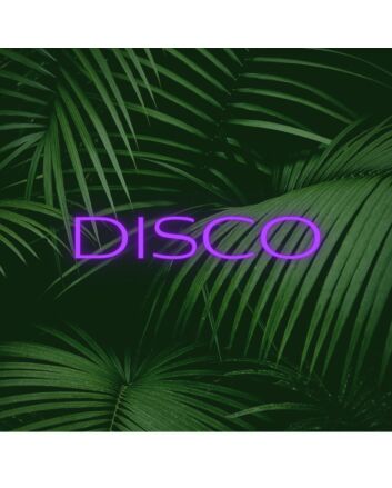 Brighten Up Your Nights: Disco LED Neon Sign for Bars, Clubs, and Festive Home Parties
