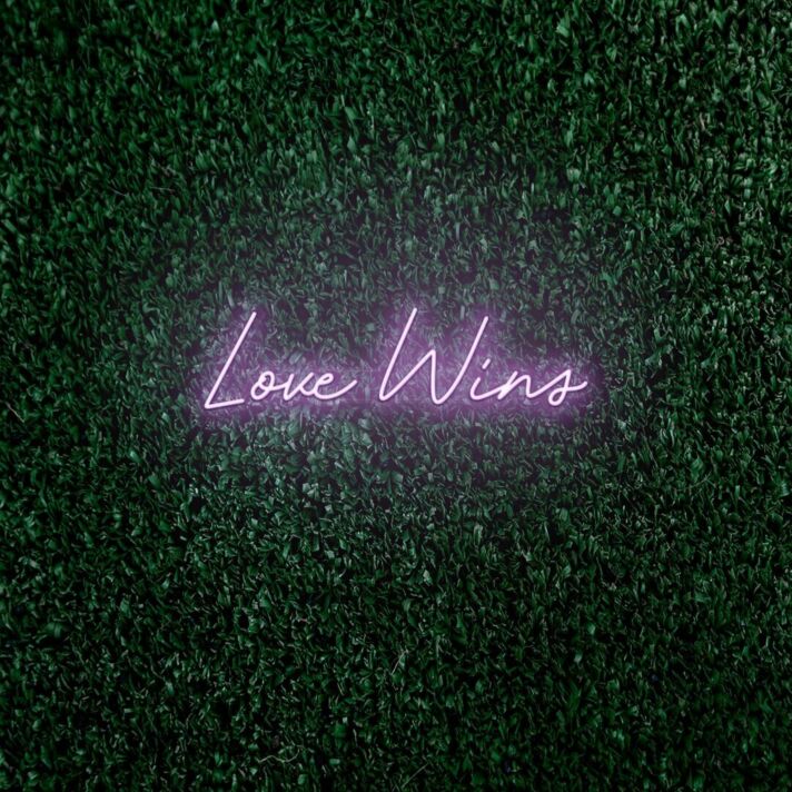 Love Wins LED Neon Sign
