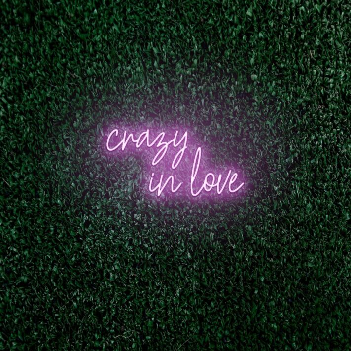 Crazy in love LED neon sign