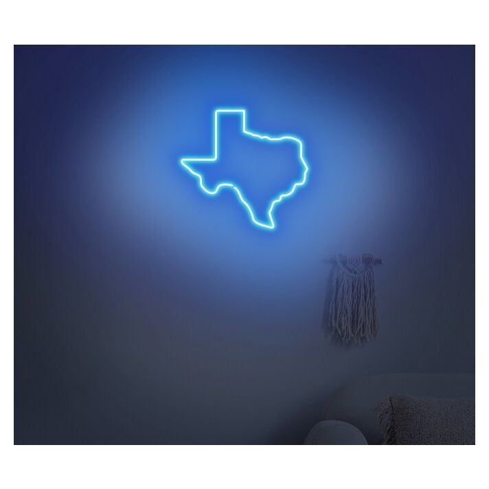 Texas Neon Sign