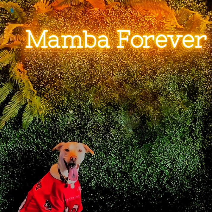 Mamba Forever Neon Sign