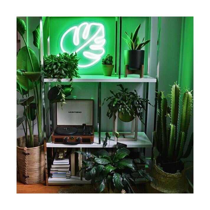 Monstera Leaf Neon Sign for Tropical and Plant Lovers