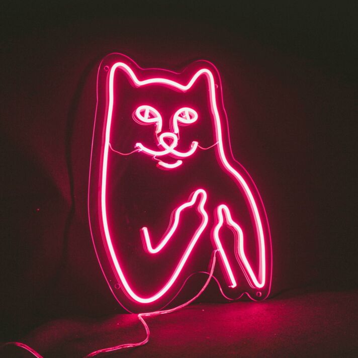 Cat Birdie Neon Sign for Animal and Whimsical Decor