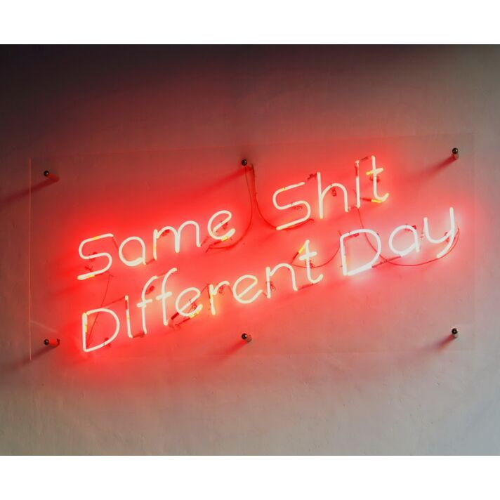 Same Shit Different Day Neon Sign v2 Add humor to your everyday life